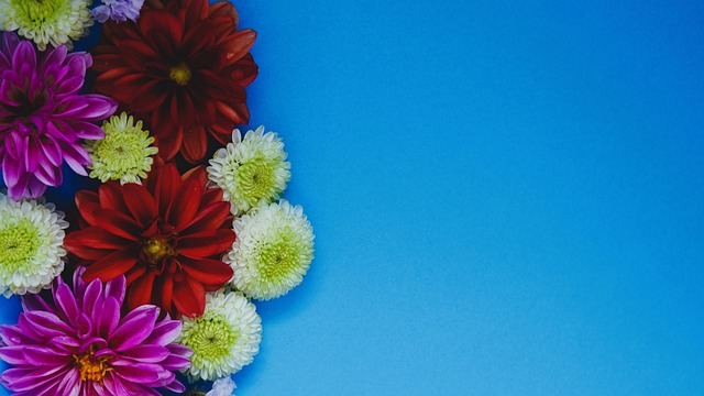 日本神奇大逆转！队史首胜巴西，森保一兑现诺言，连破3大魔咒